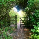 public-footpath-at-constantine-beach-seven-bays-holidays-website-for-local-holiday-rentals-and-services-in-cornwall