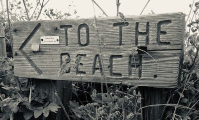 How to safely do a Solo Beach Clean