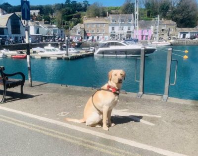 Padstow Holiday Home ~ 4 bedroom dog-friendly close to Padstow harbour