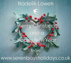 merry christmas from seven bays holidays blog post