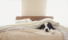 Owners FAQ seven bays holidays help with advertising